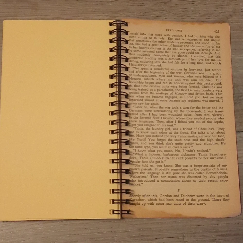Secret Journal "Doctor Zhivago" - Picture 4 of 6